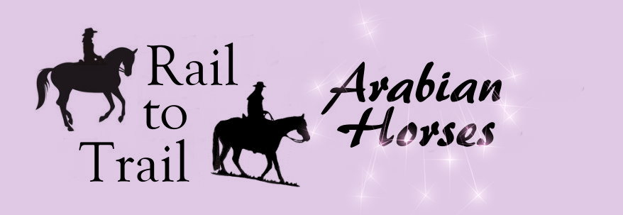 Rail to Trail Arabians